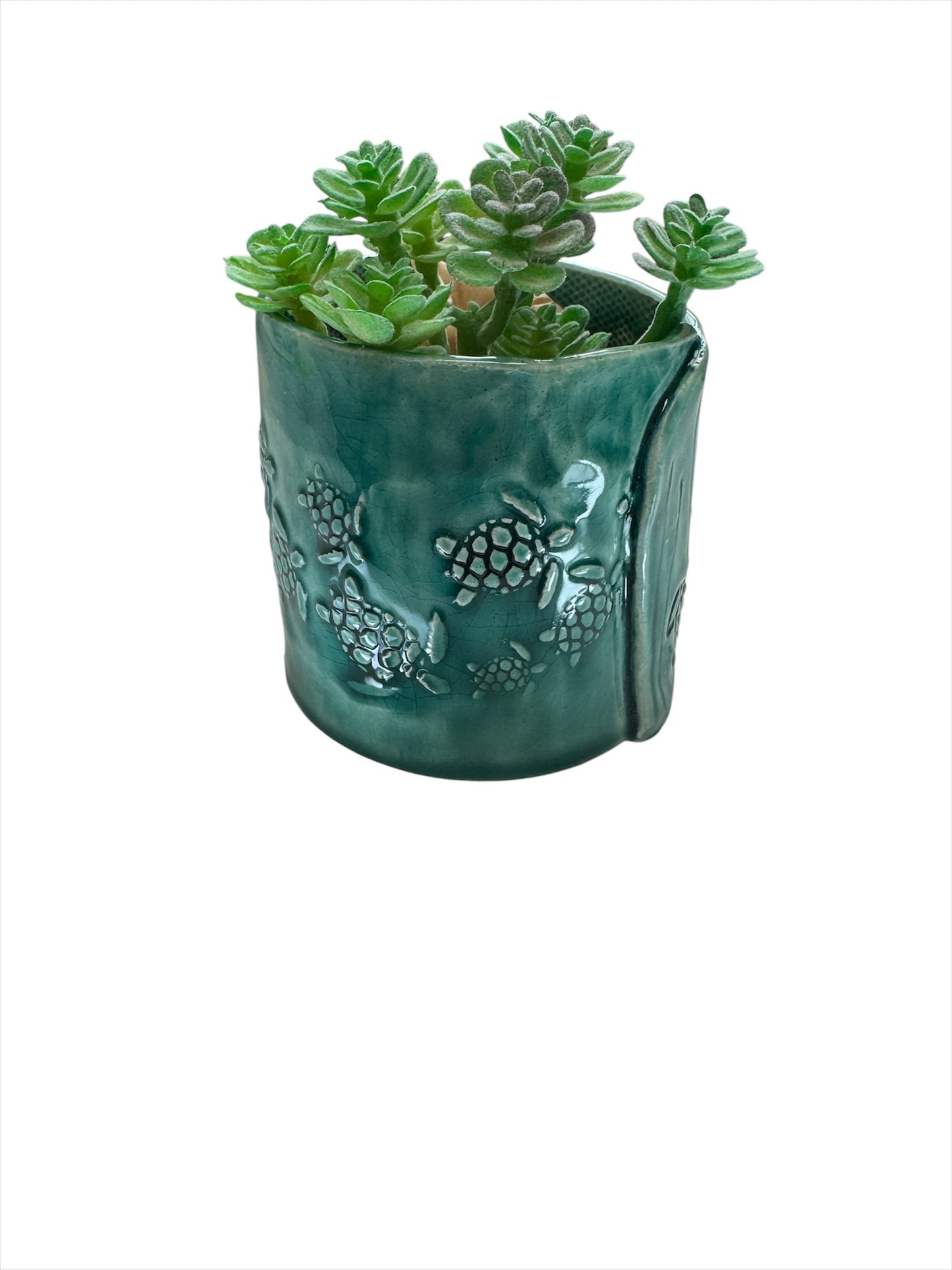 Succulent Pot Turtles 3" High
