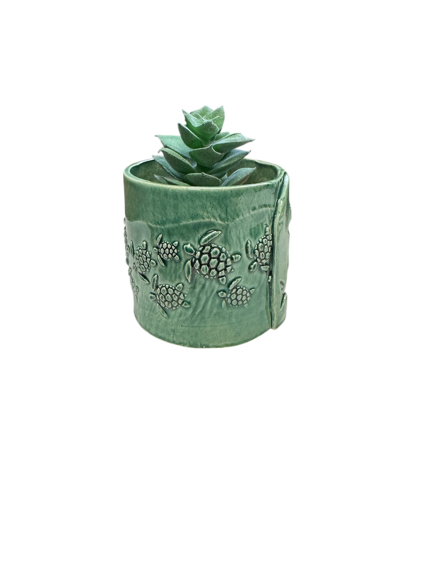 Succulent Pot Turtle-2 3" High