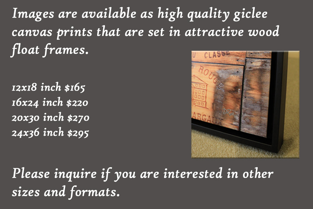 MonetLilyPond 12X16 Canv