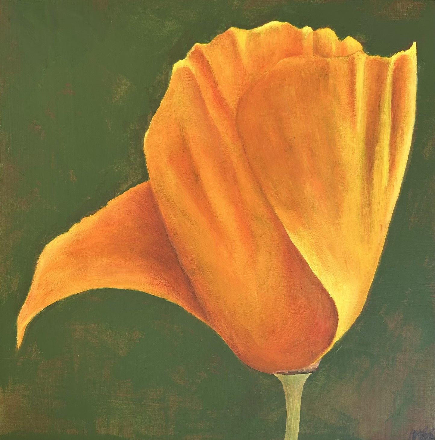 Giclee CA Poppy 8X10