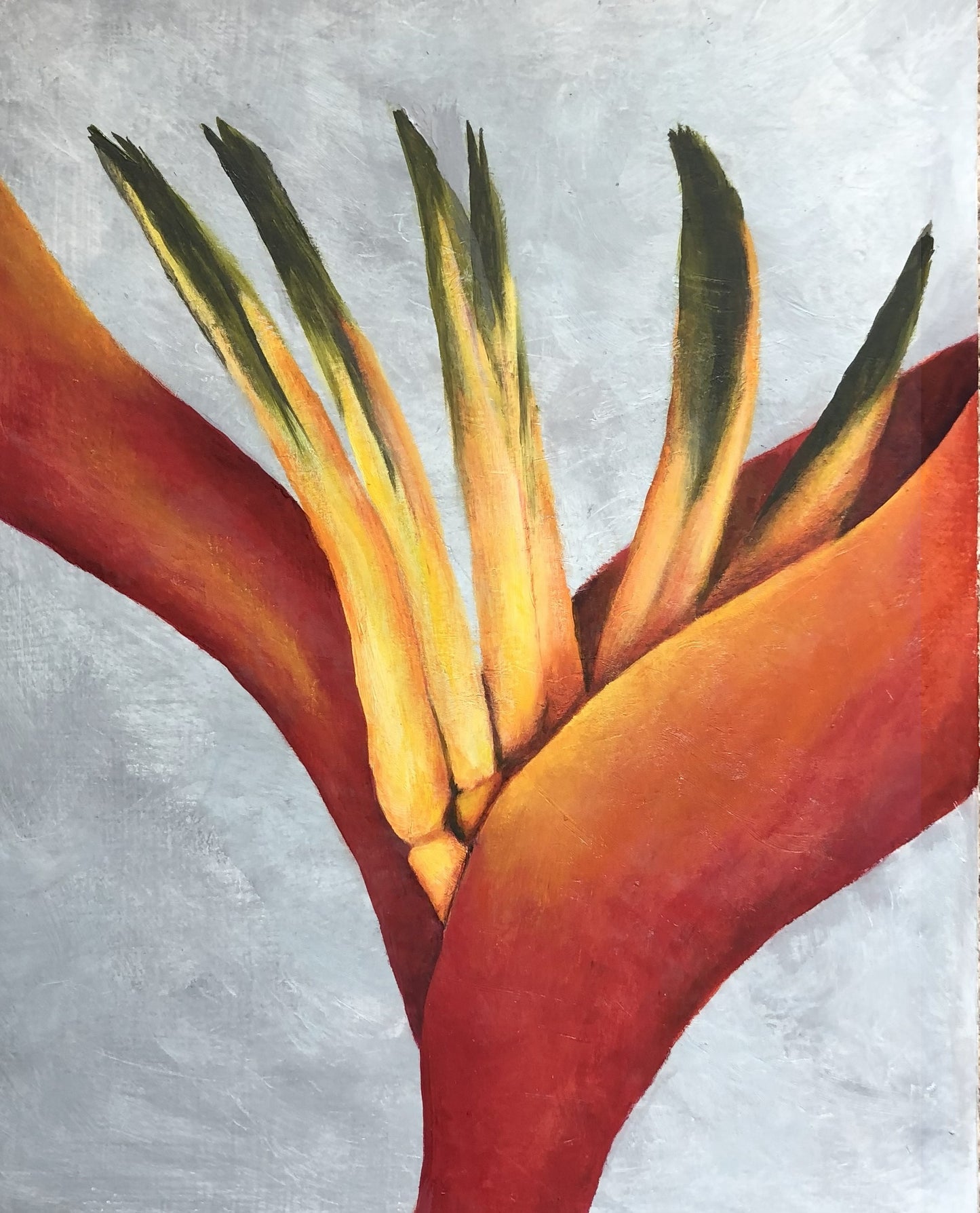 Giclee Heliconia 2 11X14