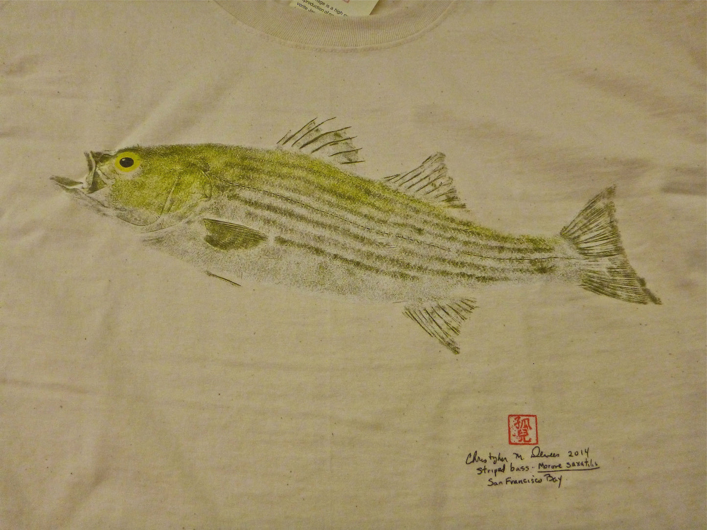 Striped Bass Shirt