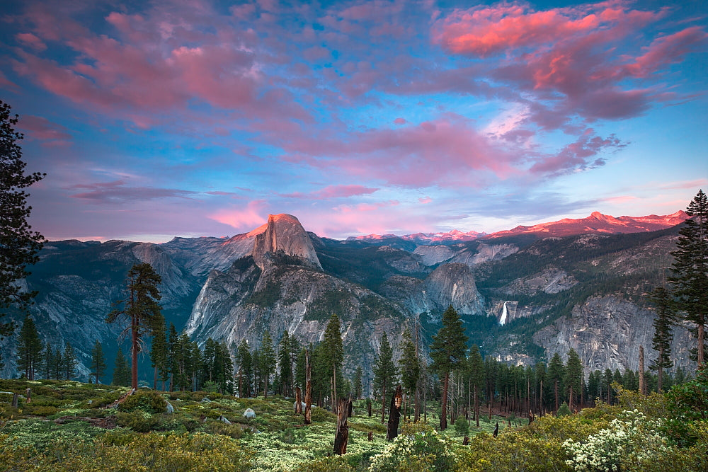 Wilderness 13 X 19 Mat Print