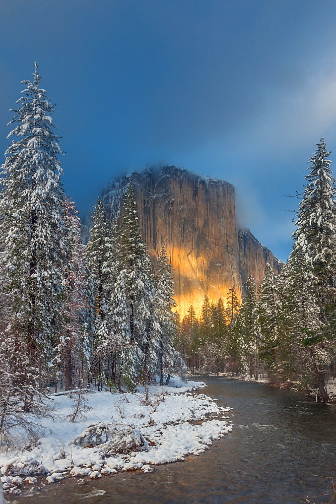 Winter Light 8.5 X 11 Mat Print