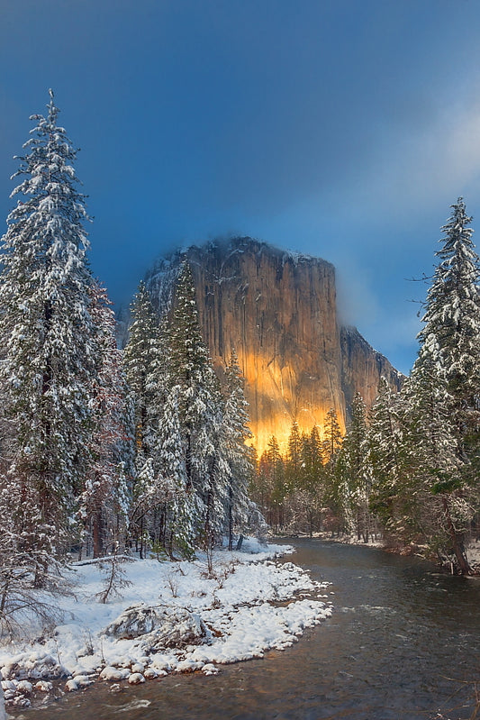 Winter Light 8.5 X 11 Mat Print