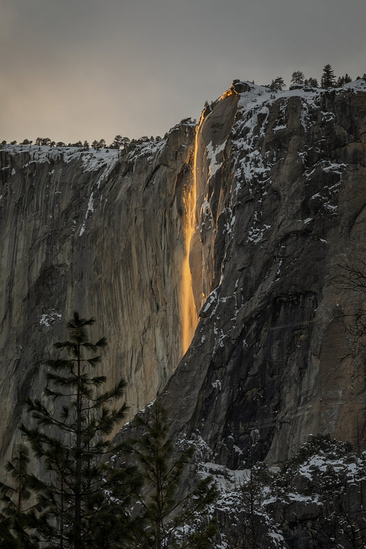 Fire Light 16 X 24 Metal Print