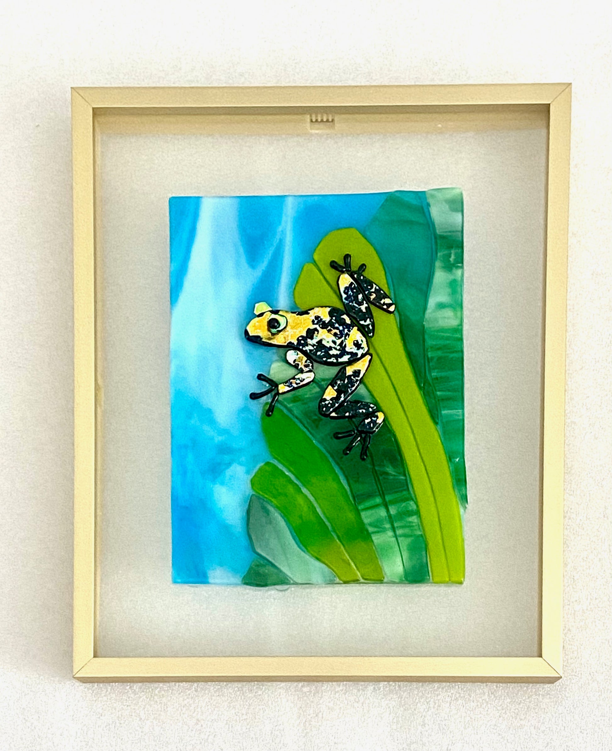 8X10 Poison Dart Frog