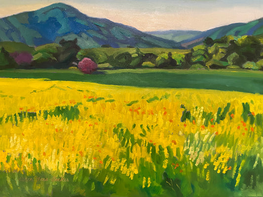 Lovely Lupines, Oil On Canvas