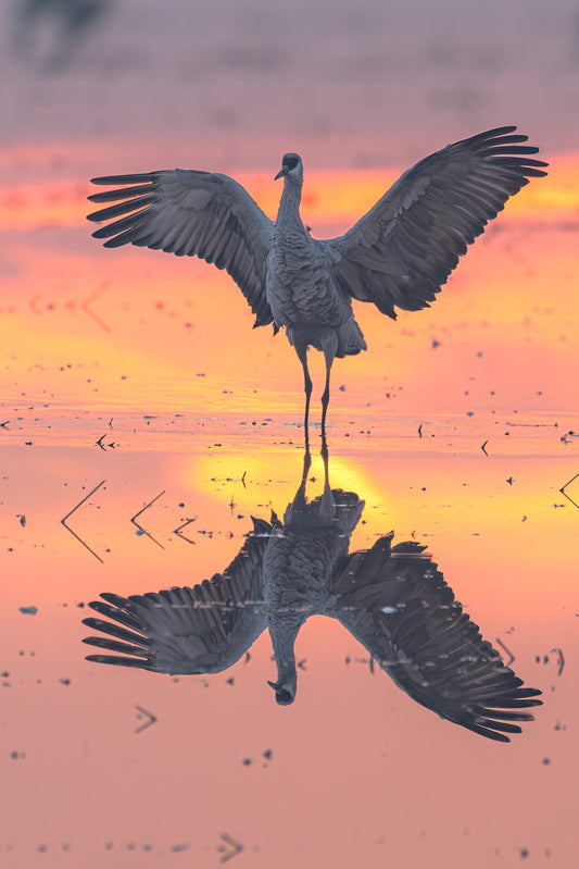 Elegance 12 X 18 Metal Print