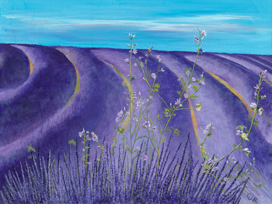 Gallery French Lavender Bloom-18X24
