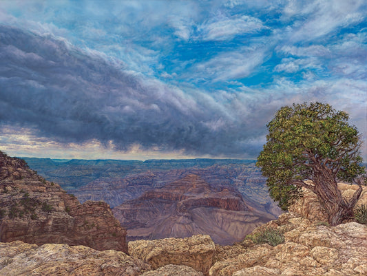 Arizona Sky,oil on canvas
