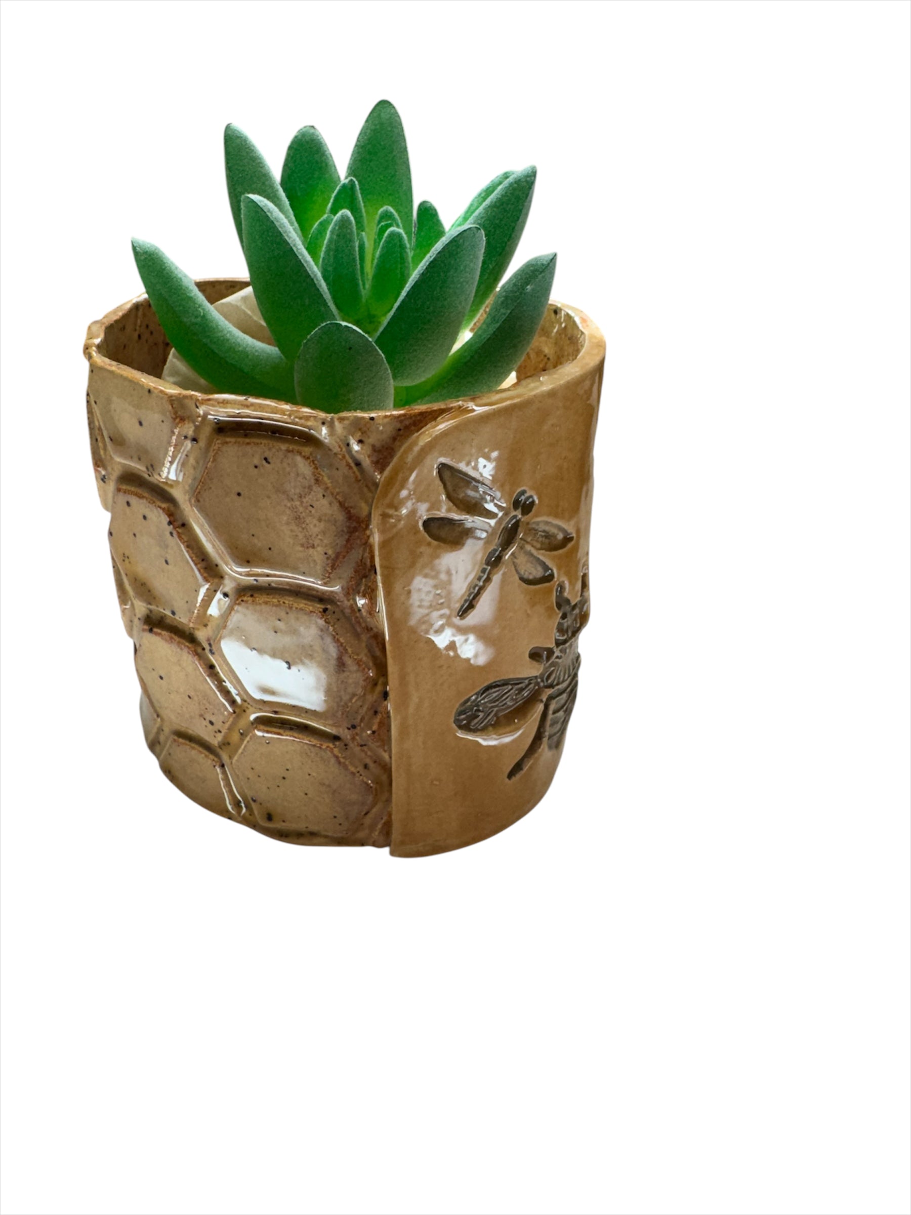Succulent Pot Bees-honeycomb 3" High