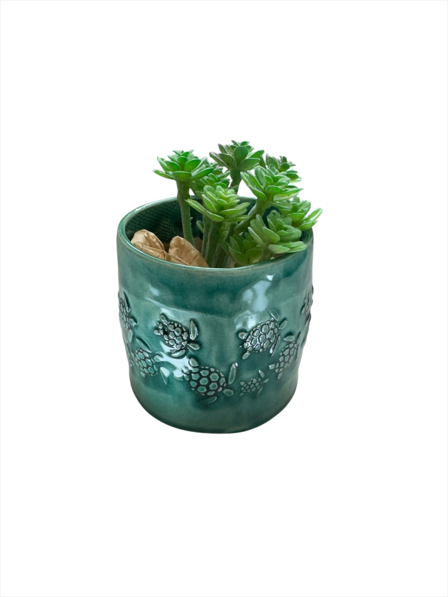 Succulent Pot Turtles 3" High