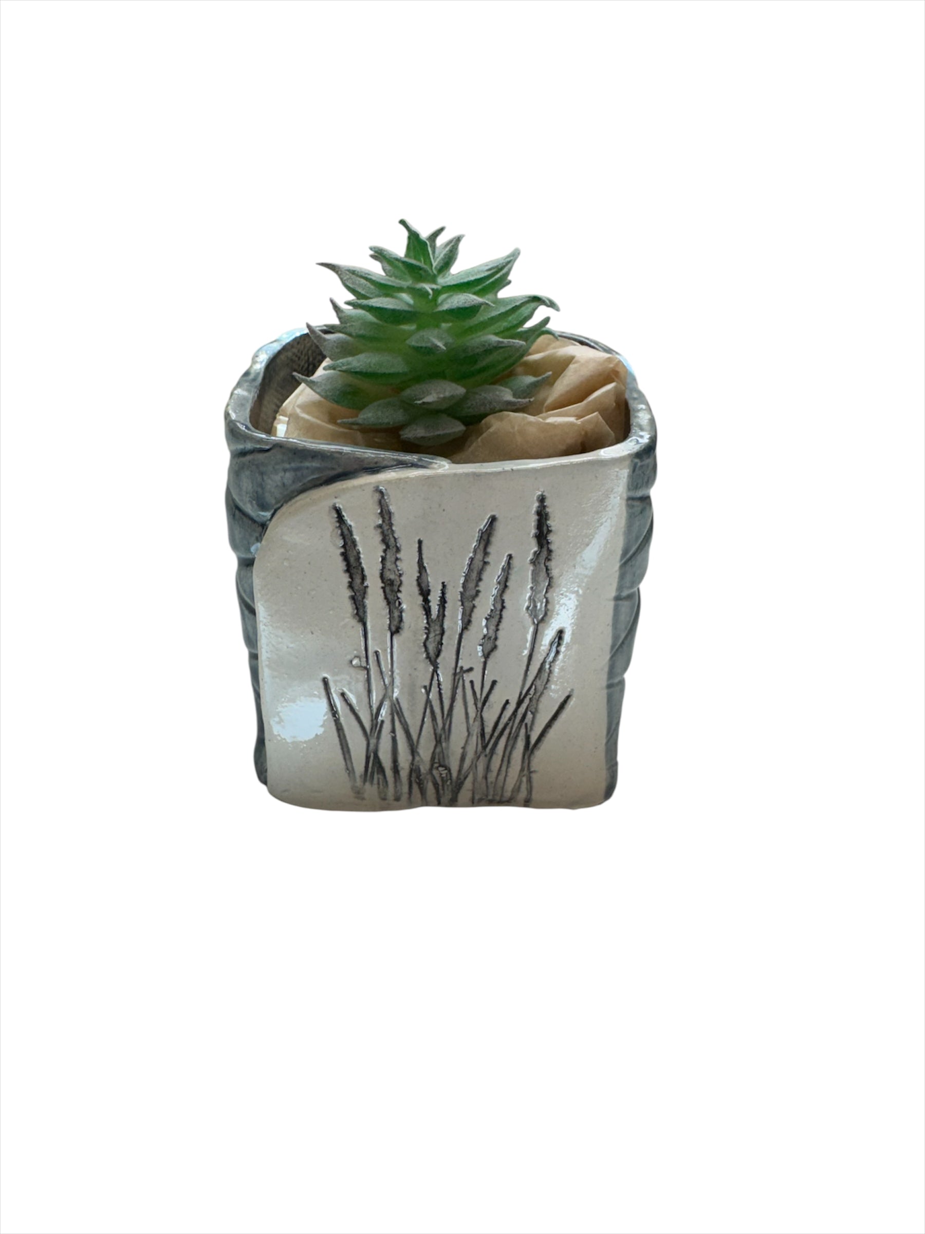 Succulent Pot blue Grasses 3" High