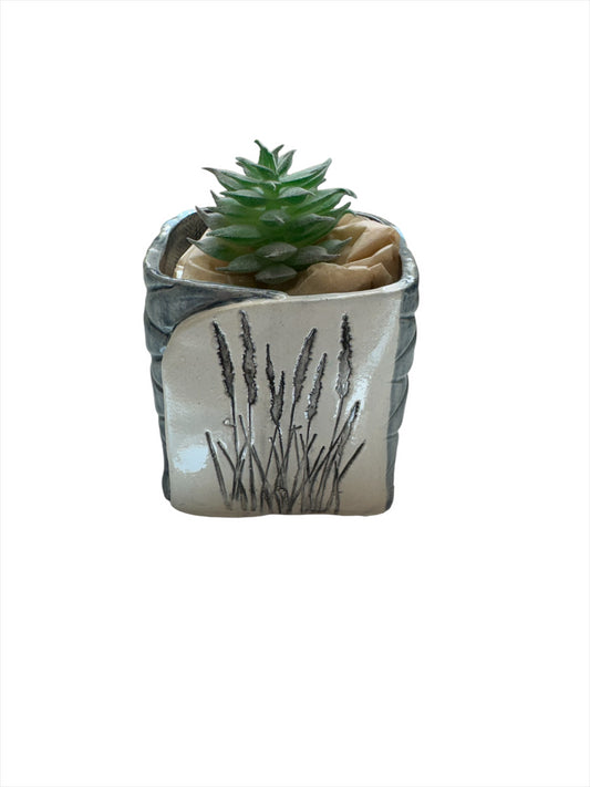 Succulent Pot blue Grasses 3" High