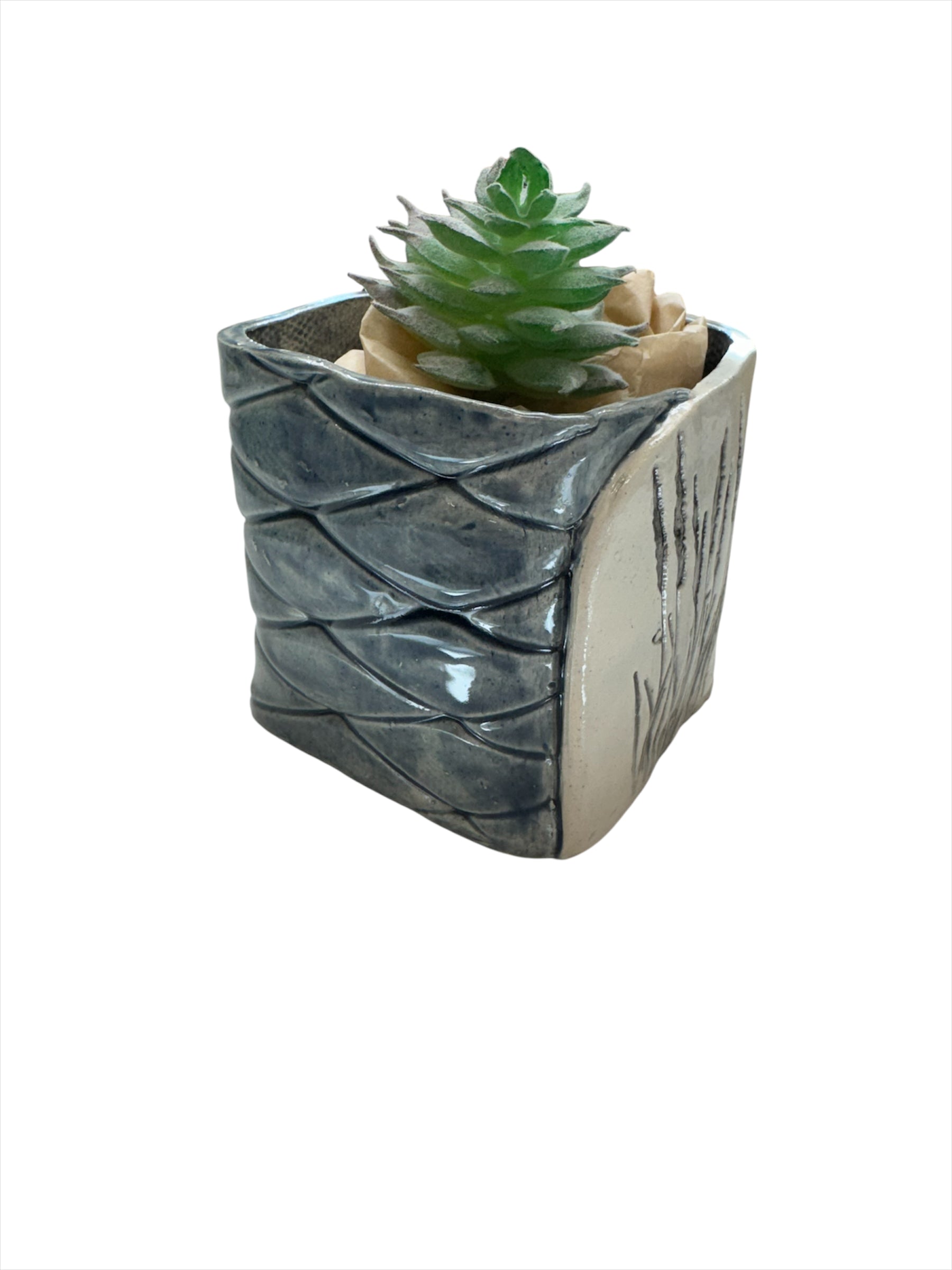 Succulent Pot blue Grasses 3" High