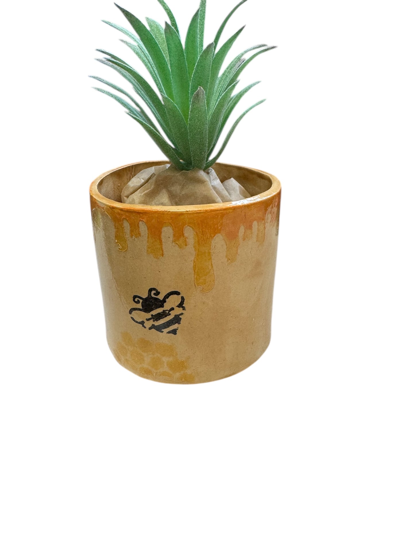 Succulent Pot Bee With Honey 3" High