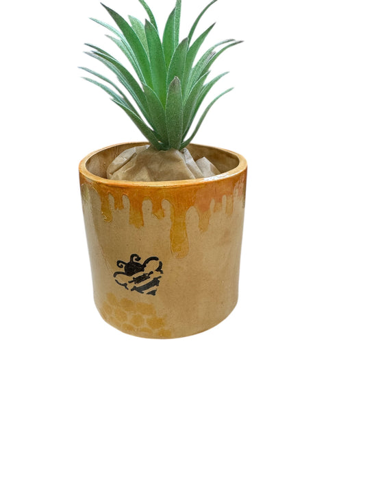 Succulent Pot Bee With Honey 3" High