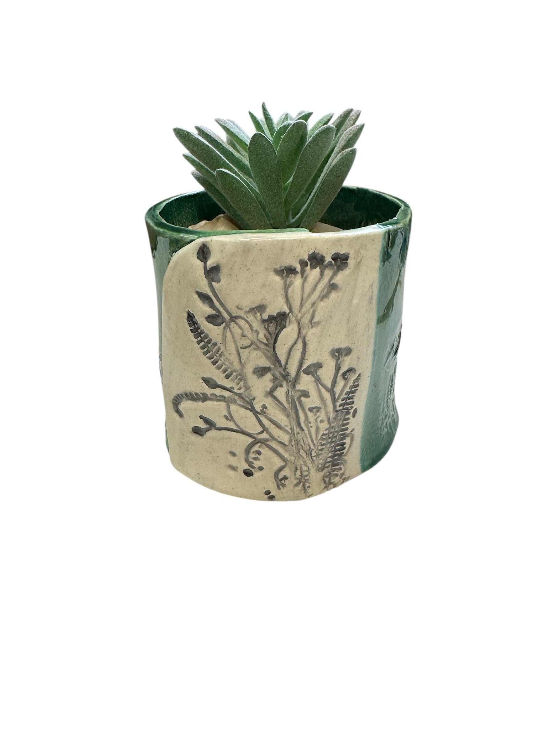 Succulent Pot Dark Green Mtn-2 3" High