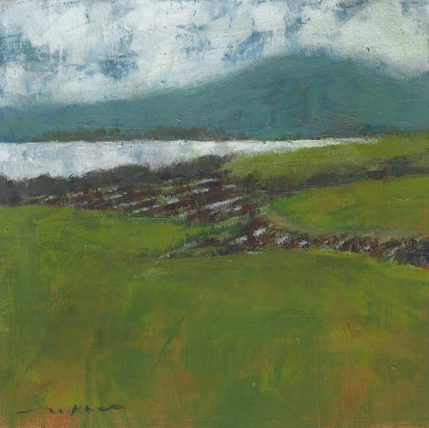 Fields Next To Sacramento River