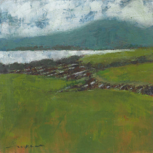 Fields Next To Sacramento River