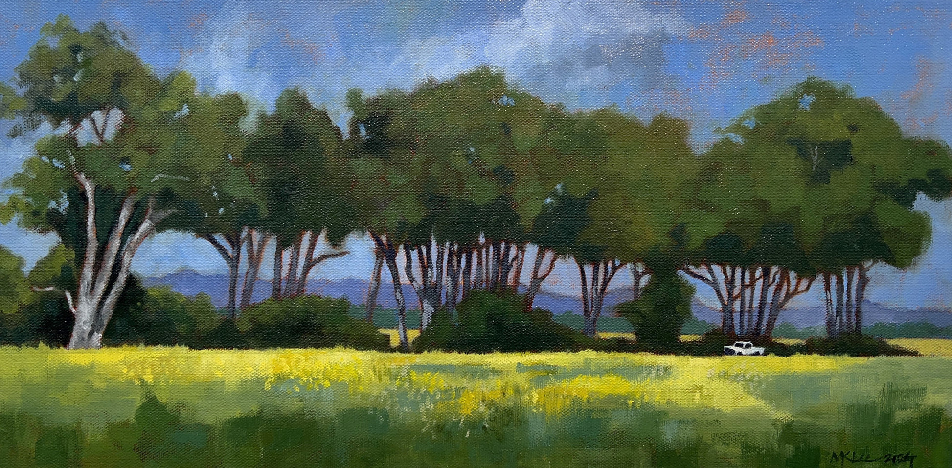 Row of Eucalyptus Trees