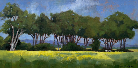 Row of Eucalyptus Trees