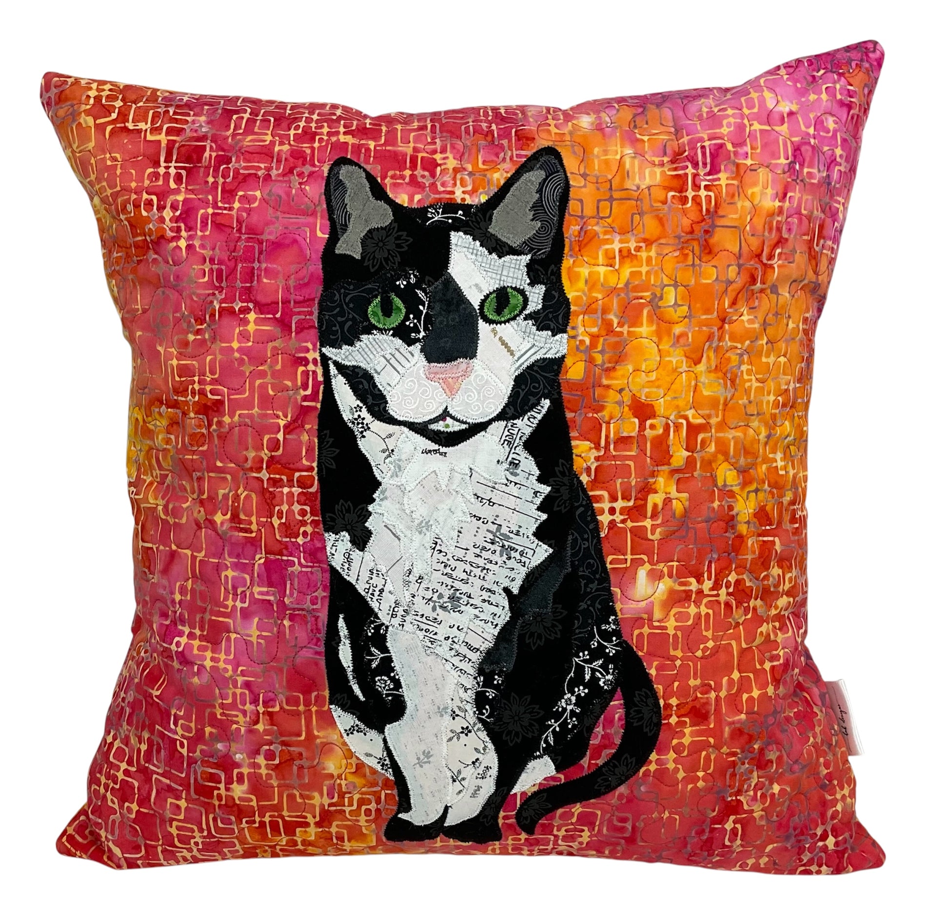 Salem Tuxedo Cat