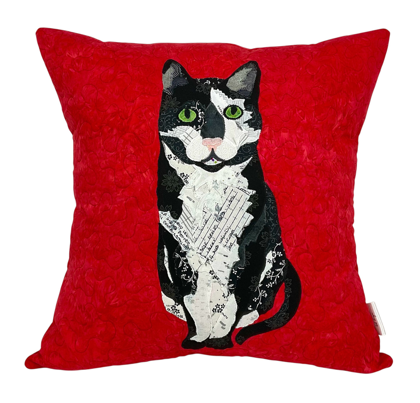 Salem Tuxedo Cat With Red Background