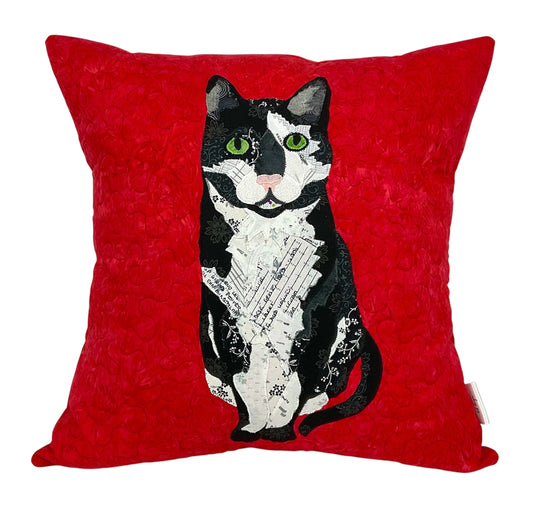 Salem Tuxedo Cat With Red Background