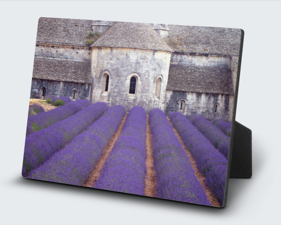 5X7 Desk Plq-Abbey's Lavender