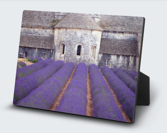 5X7 Desk Plq-Abbey's Lavender