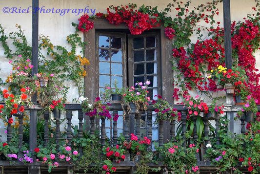 Spanish Veranda 20X30 Canvas