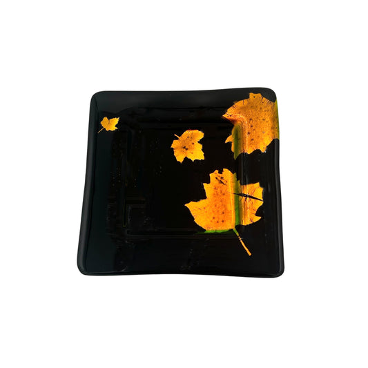 Square Maple Plate