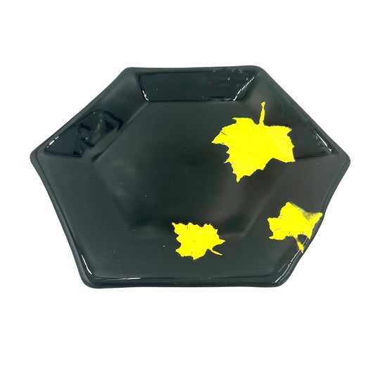 Glass Plate